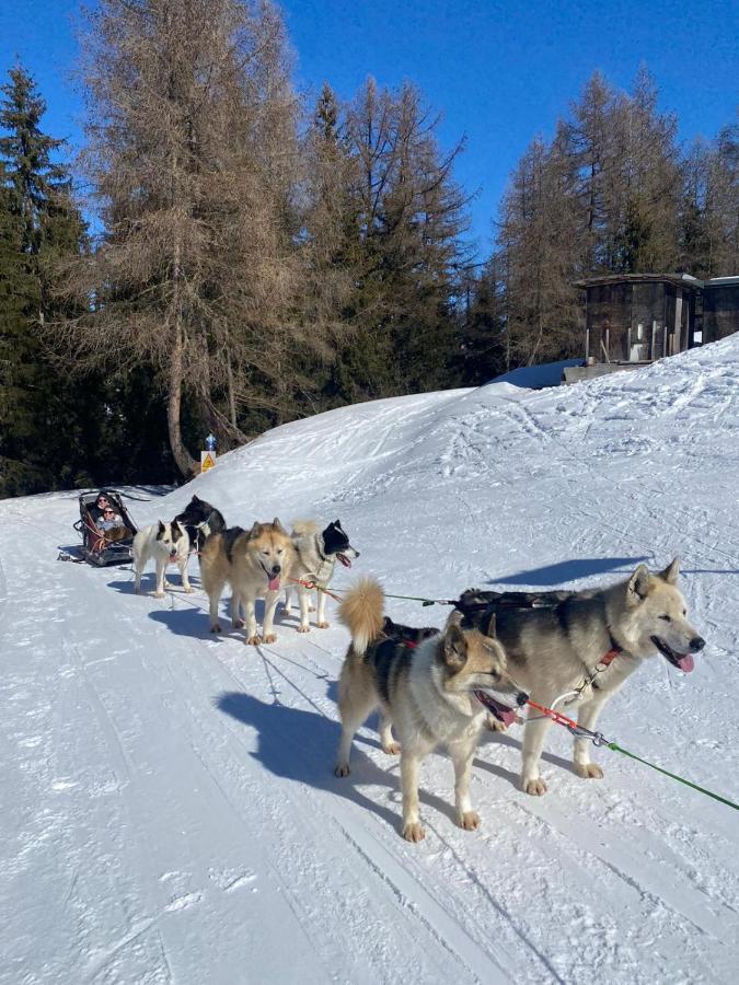 Apartmán Plagne Bellecote - 5 Pers - Vue Pistes - Acces Piscine Chauffee La Plagne Exteriér fotografie